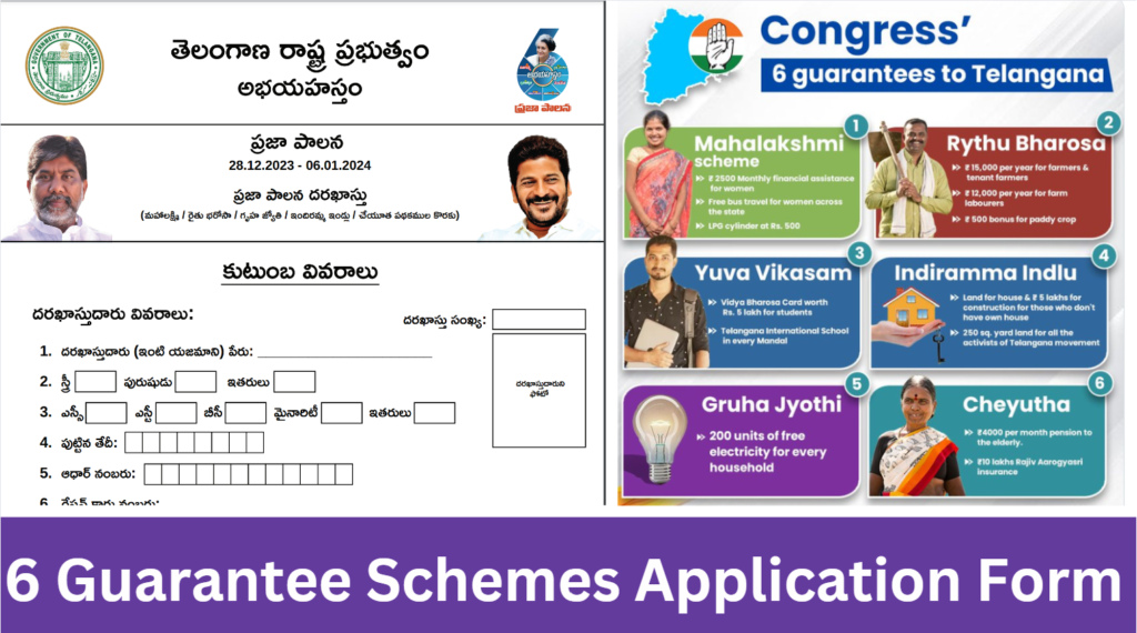 6 Guarantee Schemes Application Form 2024